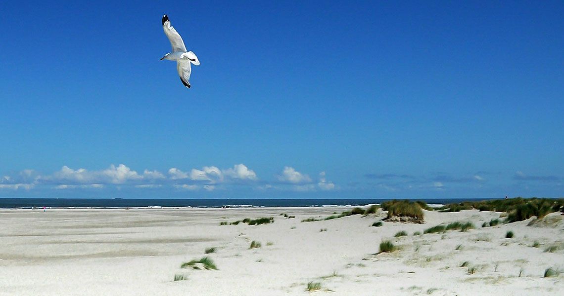 img-blog-02-1140x600.jpg